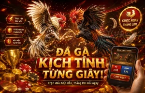 Giao diện sảnh Đá Gà xclusiveicandy